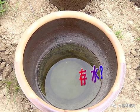 水缸英文|水缸是什么意思